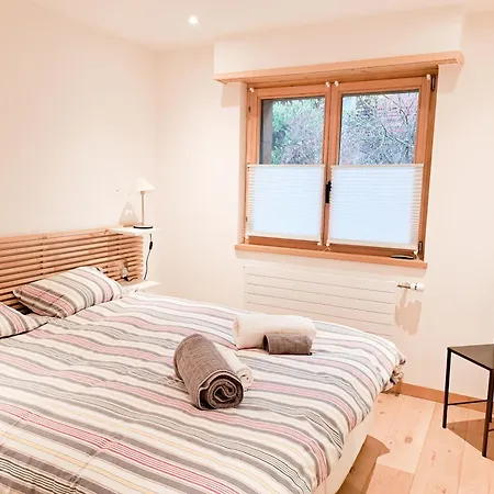 Alpine Charm And Modern Comfort In Apartment Verbier